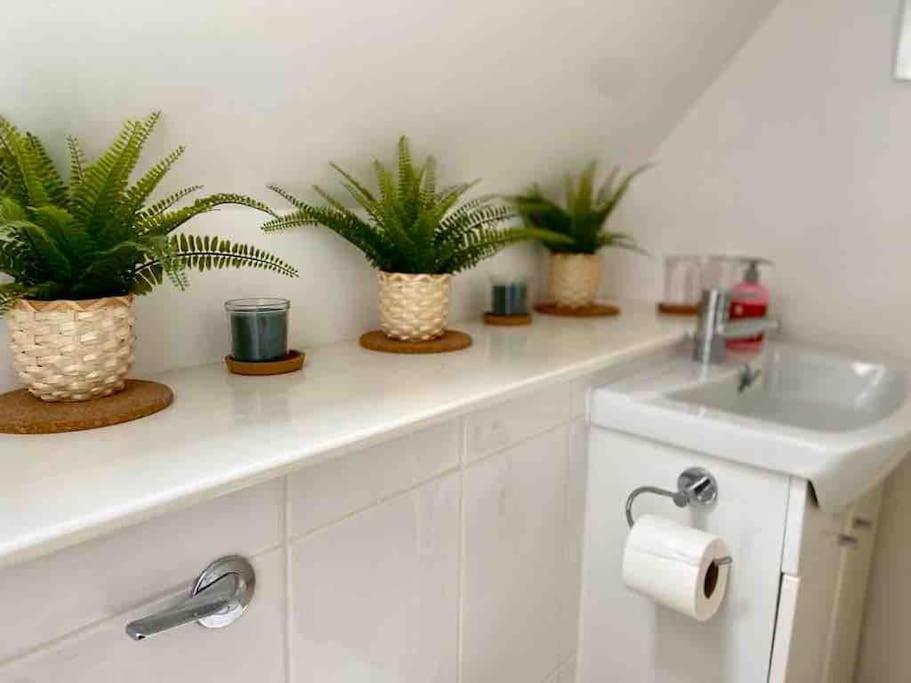 Scenic Couples Getaway In The Brecon Beacons Holiday home *